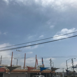 男生和女生亲夜总会偷情
